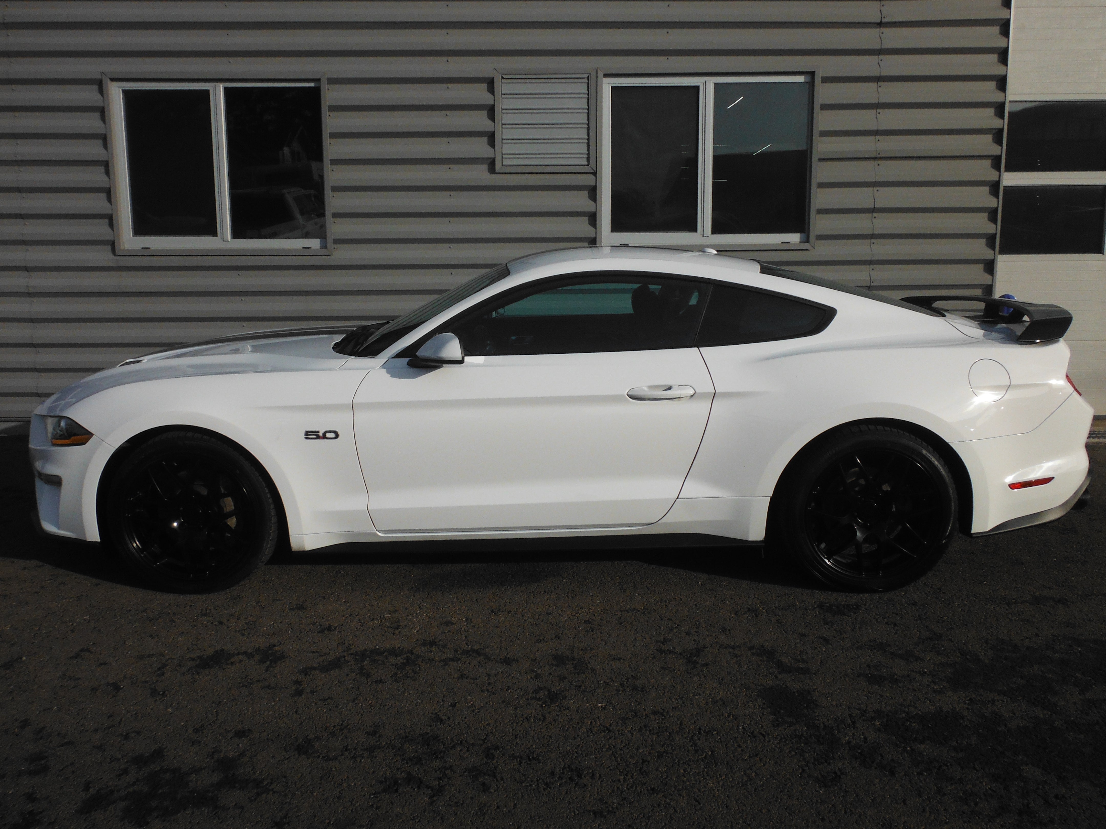 2019 Ford Mustang GT