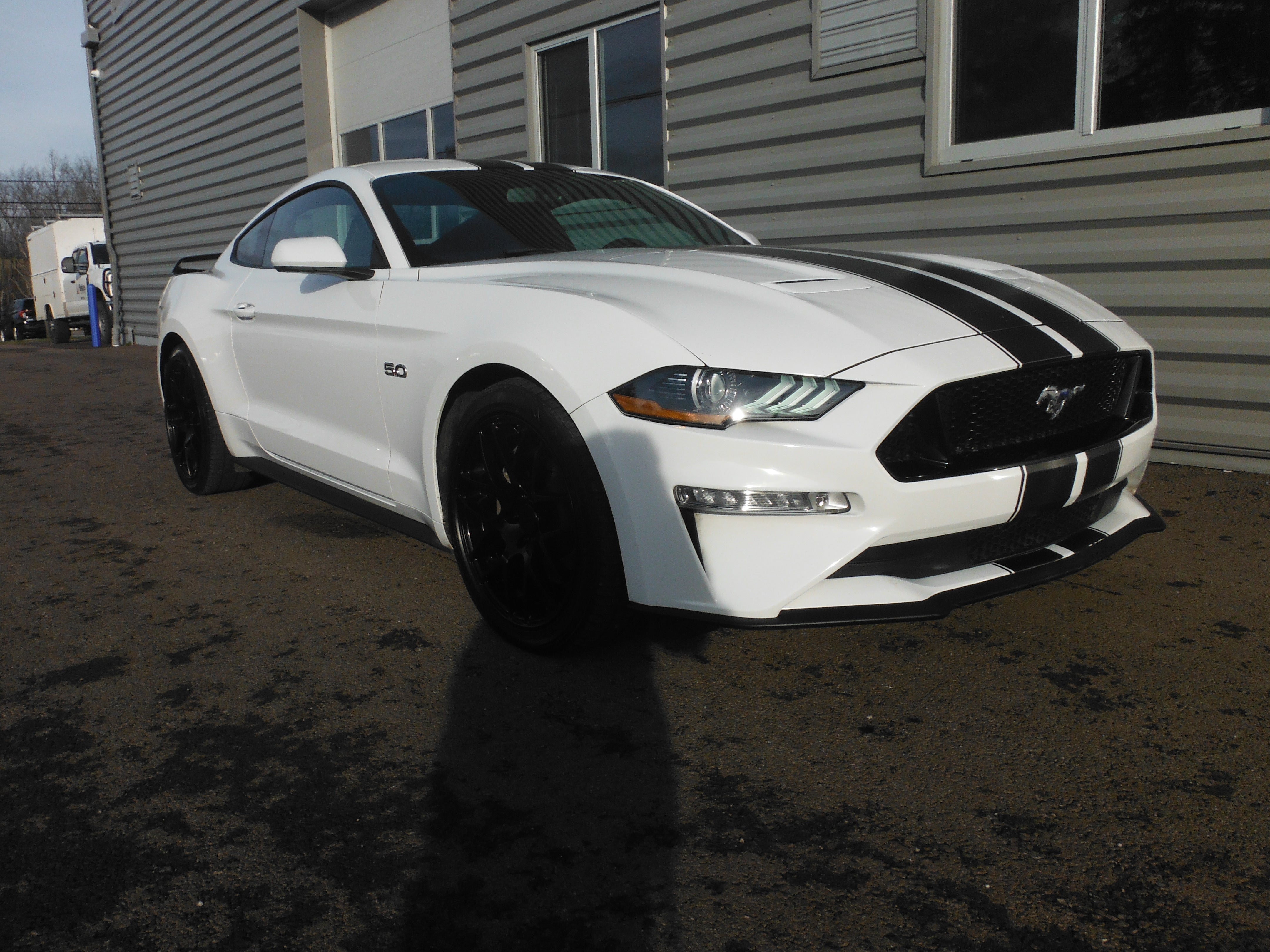 2019 Ford Mustang GT