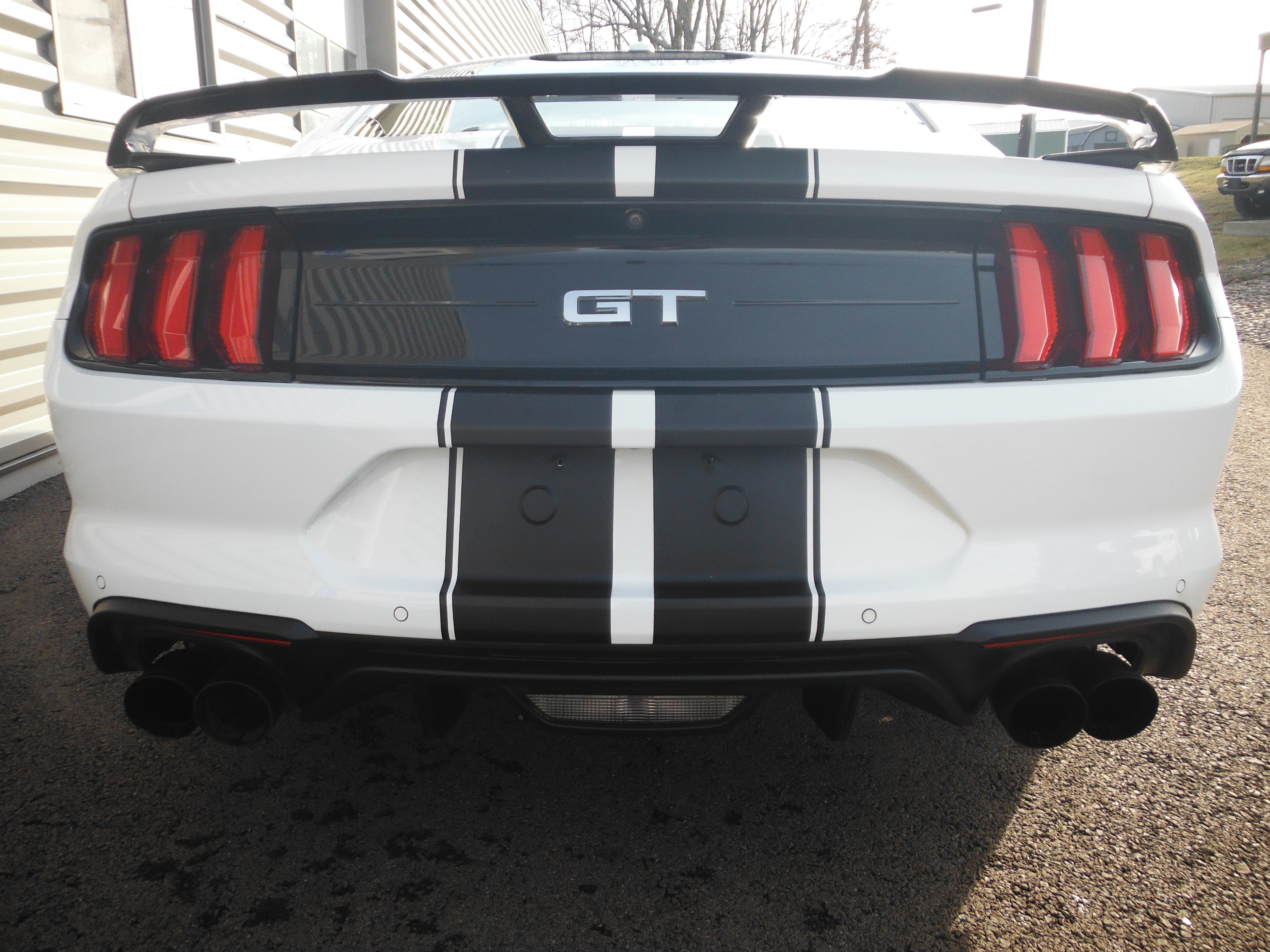 2019 Ford Mustang GT