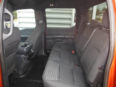 2023 Ford F-150 XL STX