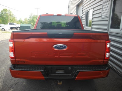 2023 Ford F-150 XL STX